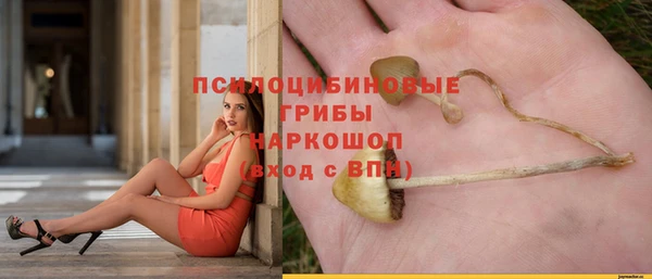 прущие крисы Волосово